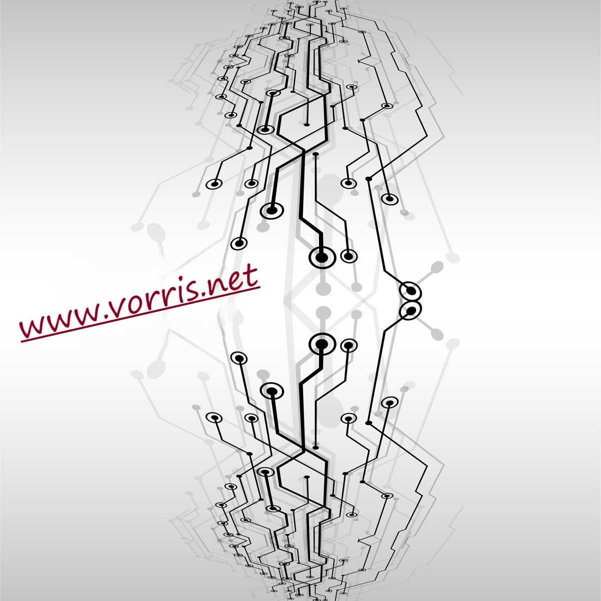 Vorris.net